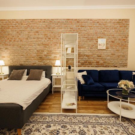Jolie Flat In The Heart Of The City Тимишоара Экстерьер фото