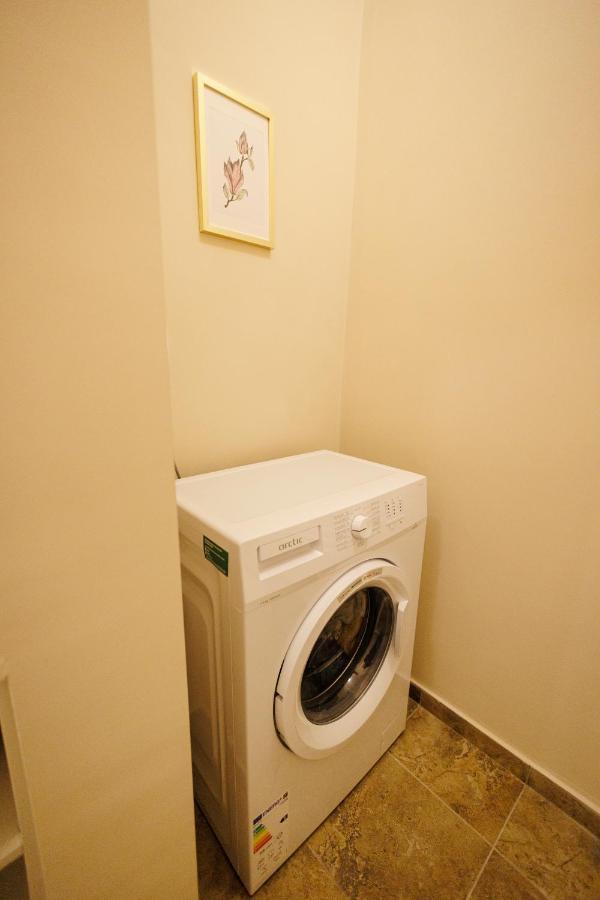 Jolie Flat In The Heart Of The City Тимишоара Экстерьер фото
