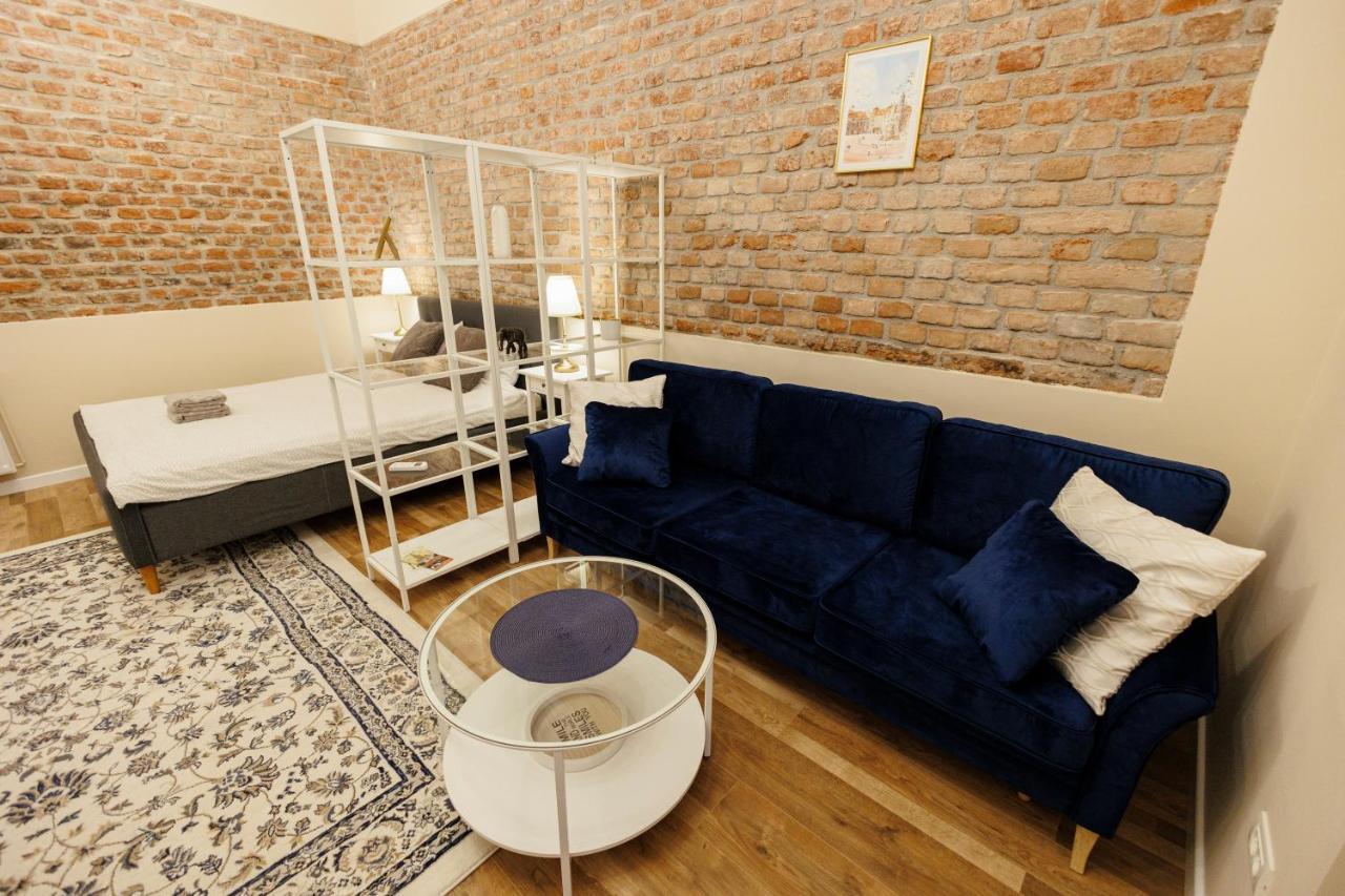 Jolie Flat In The Heart Of The City Тимишоара Экстерьер фото