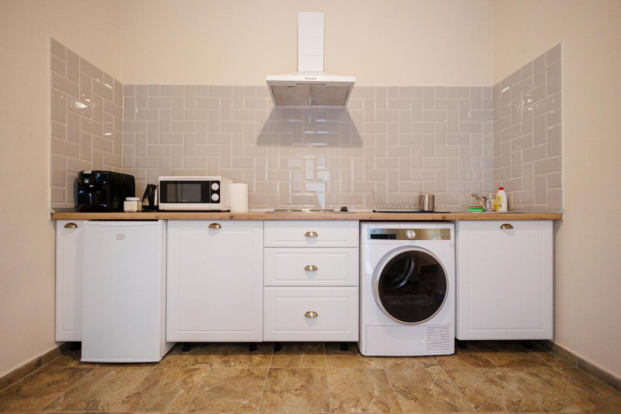 Jolie Flat In The Heart Of The City Тимишоара Экстерьер фото